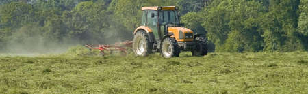 tractor cutting hay in springの写真素材