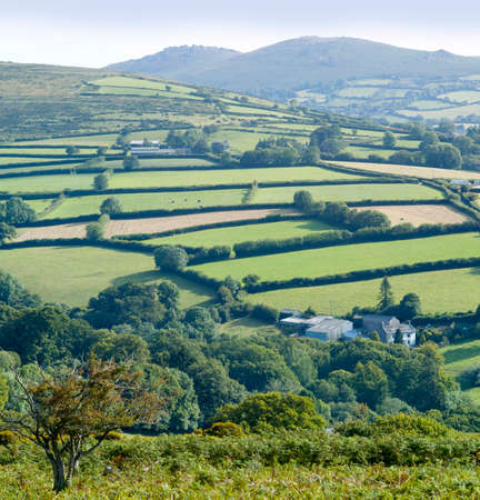 dartmoor devon england ukの写真素材