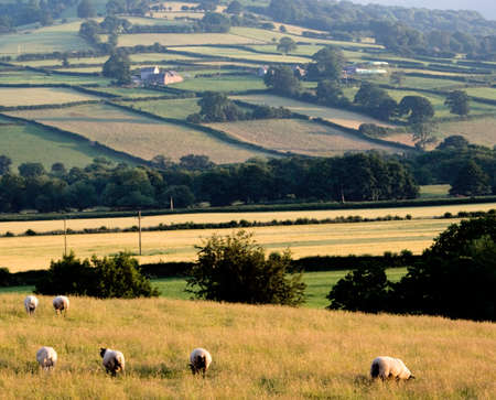 wales powys the brecon beacons national park view towards the brecon beaconsの写真素材