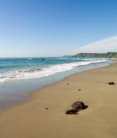 cornish coast kennack sands beach cornwall england ukの写真素材