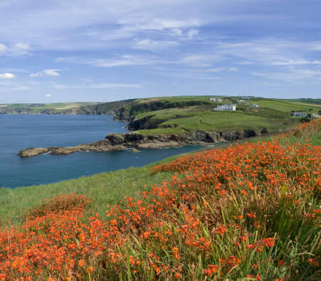 the cornish coast at port isaac cornwall england ukの写真素材
