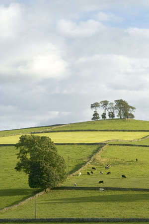 peak district landscape near bakewellの写真素材