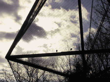 london regents park camden regents park zoo lord snowdons aviaryの写真素材