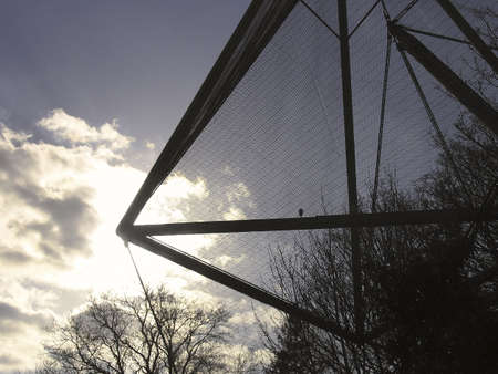 london regents park camden regents park zoo lord snowdons aviaryの写真素材