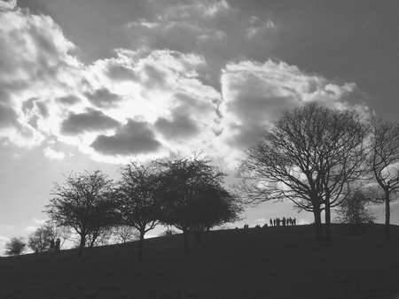  	people  on primrose hill camden north londonの写真素材