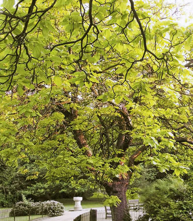 waterlow park highgate north londonの写真素材