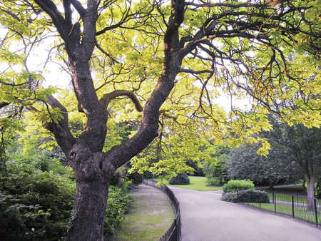 waterlow park highgate north londonの写真素材