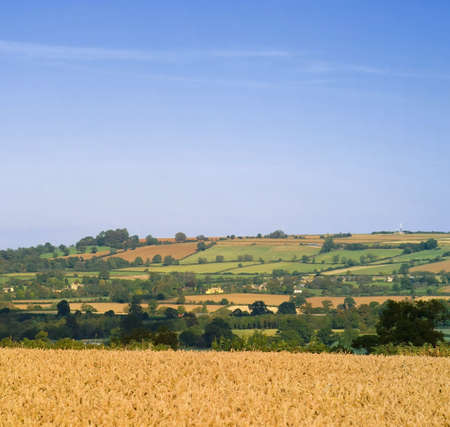 england midlands gloucestershire the cotswolds the cotswolds way footpath dovers hill near chipping campdenの写真素材