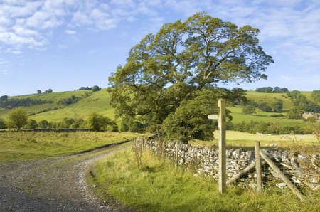 upper dovedale valley peak district national park derbyshire staffordshire england ukの写真素材