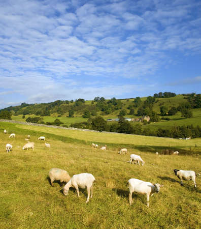 upper dovedale valley peak district national park derbyshire staffordshire england ukの写真素材
