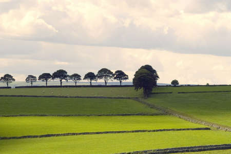 view from the tissington trail cycleway and footpath along disused railway line peak district national park derbyshire england ukの写真素材