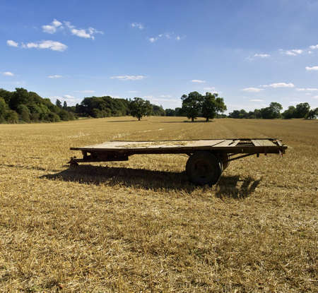 field after harvestingの写真素材