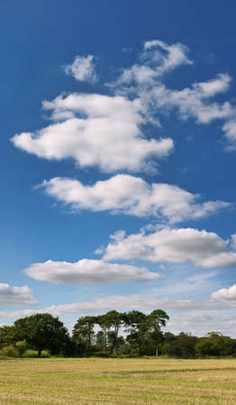 farmland clouds trees ploughed earth soil agricultureの写真素材