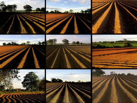 a collection of  9 (2000 x 1500 pixels) iamges of ploughed fields. suitable for use a smontage, collage, background or separate individual images.の写真素材