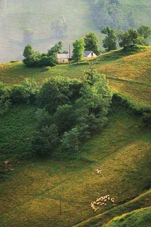 farm pyrenees-atlantique bearn aquitaine france europeの写真素材
