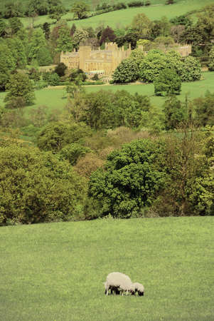 winchcombe the cotswolds gloucestershire the midlands england sudeley castleの写真素材
