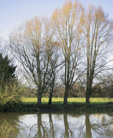 river avon warwick warwickshire england uk の写真素材