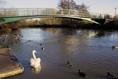 river avon warwick warwickshire england uk の写真素材