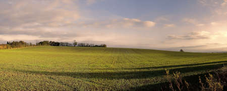farmland clouds trees ploughed earth soil agricultureの写真素材