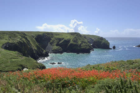 mullion cove cornish coast cornwall england ukの写真素材