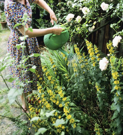 watering plants watering can baskets on window sillの写真素材