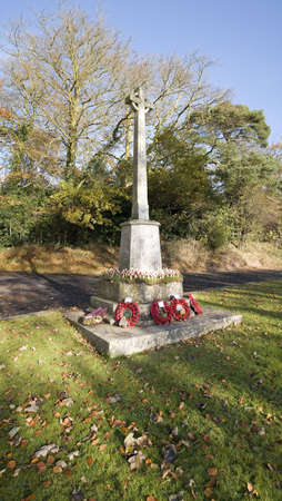 Poppies on war memorial commemorating dead soldiers on remembrance day in an English churchyard.のeditorial素材