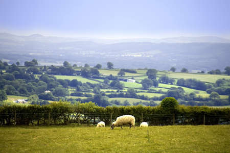 View from the offas dyke long distance footpath hergest ridge herefordshire.の写真素材