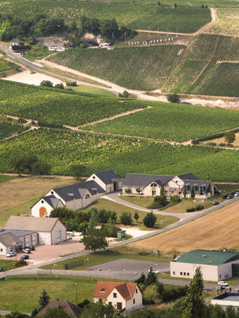 Vineyards in the loire valley france.
