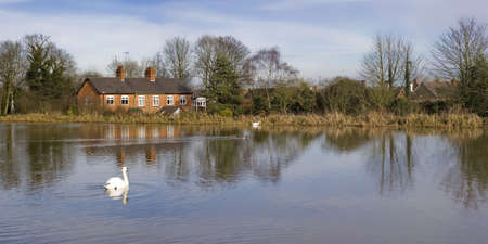 Houses next to lake with swan.の写真素材
