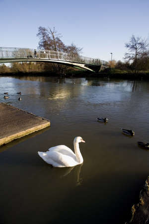 The river avon warwick warwickshire england uk.の写真素材