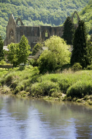 Wales monmouthshire, a view across the valley of the river wye to  TINTERN ABBEY.の写真素材