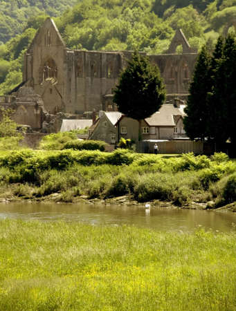 Wales monmouthshire, a view across the valley of the river wye to  TINTERN ABBEY.