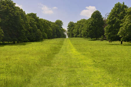 Views from a footpath through the estate grounds of Ragley hall Warwickshire The Midlands England UK.の写真素材