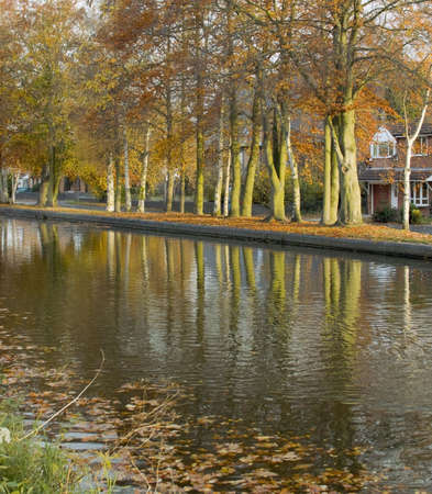 Trees in autumn leaf alongside a waterway.の写真素材