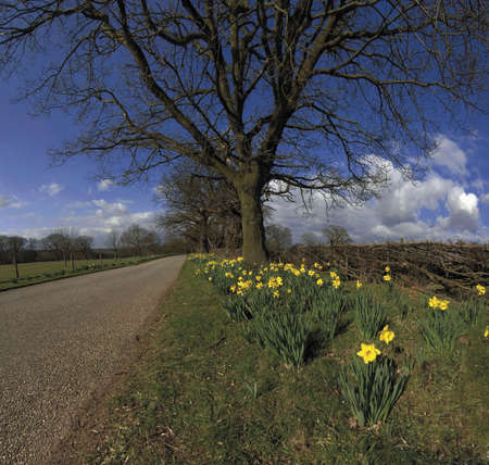 baddesley clinton estate warwickshire route of the heart of england way long distance footpathの写真素材