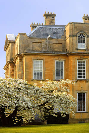 Trees in blossom at overbury court worcestershire.の写真素材