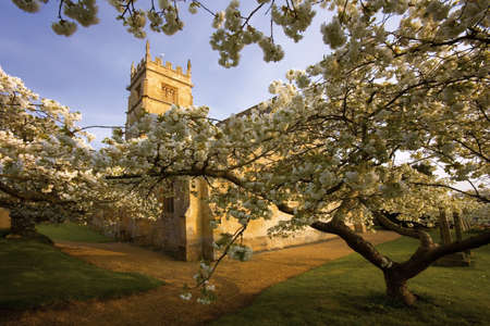 Trees in blossom at overbury church worcestershire.の写真素材
