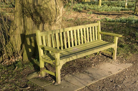 A wooden bench in a wood in the countryside