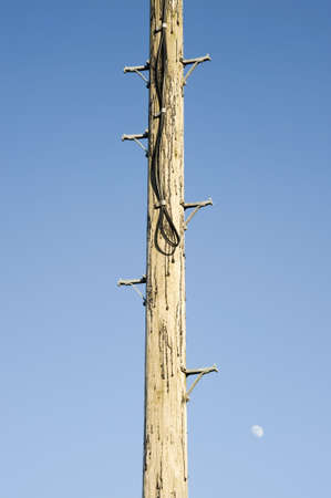 A telephone pole against a blue sky and the moonの写真素材