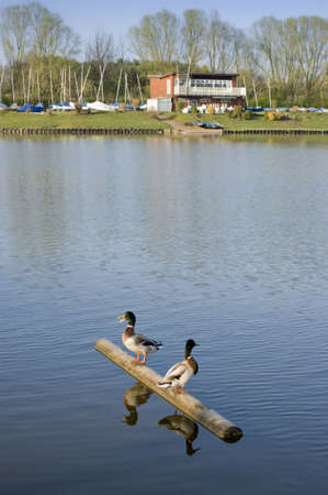 arrow valley lake country park redditch worcestershire midlands england ukの写真素材