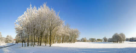 A snow covered rural landscape in the countrysideの写真素材
