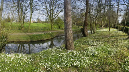 The banks of a river, with bushes and trees.の写真素材