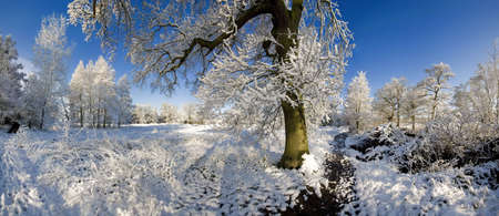 A snow covered rural landscape in the countrysideの写真素材
