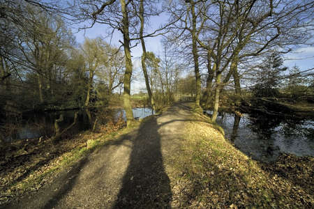 heart of england way footpath the avenue packwood house warwickshire midlands england uk