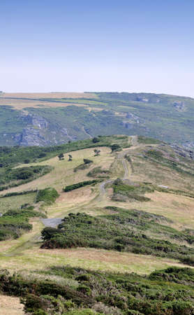 the cliffs at bolberry down on the south west devon coast coast path the south hams devon england ukの写真素材