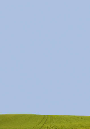 background of sky and grassの写真素材