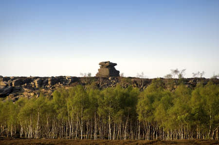peak district landscape with silver birch treesの写真素材