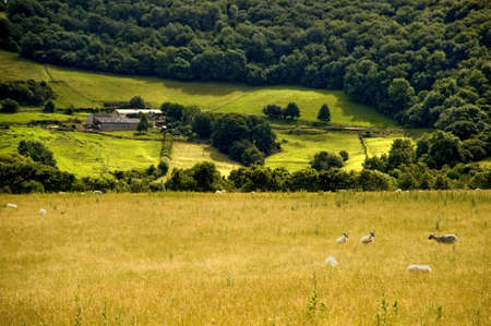 view over countryside and hillsの写真素材