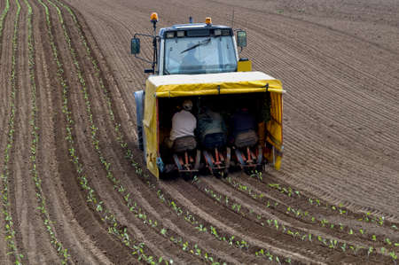 tractor seeding a fallow ploughed fieldの写真素材