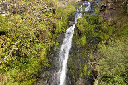 waterfall the taf fechan forest brecon beacons national park powys wales ukの写真素材